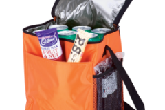 12-Can-Cooler-with-2-Exterior-Pockets